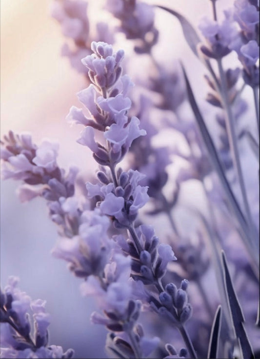 Lavender Botanical Soy Wax Candle